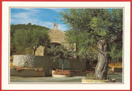 Var ( 83 ) Roquebrune-sur-Argens : La Chapelle Sainte-Anne - Carte Neuve TBE - Roquebrune-sur-Argens