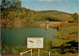 25-11-2023 (3 V 25) Australia - NSW  - Armidale & Malpas Dam - Autres & Non Classés