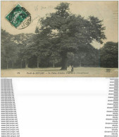 91 SENART. La Forêt. Chêne D'Antin 1911. Carte Déliassée... - Sénart