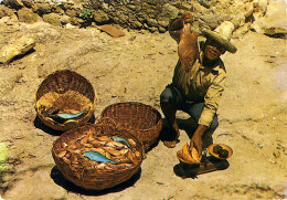 Martinique - La Trinité - Pêcheur De La Caravelle - La Trinite