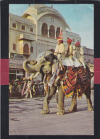 Jaipur - Cere Monial Elephant - Inde