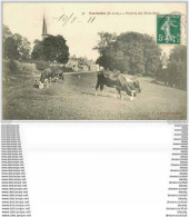 28 COURTALAIN. Vaches Prairie Des Trois Rois 1911 - Courtalain