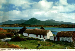 Thatched Cottage Connemara - Galway