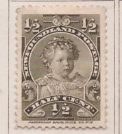PIA - TERRA NUOVA - NEW  FOUNDLAND - 1897-99 :  Effigie Del Principe Edoardo Del Galles  -   (Yv  63) - St.Vincent (...-1979)