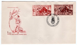 FDC - Workers' Day Of The World - Day Of International Solidarity Of The Working Class - Praha - 1- B - 1952 - Joint Issues