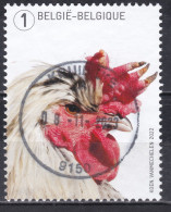 BELGIE 5109 ° - Used Stamps