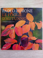 Paolo Pejrone Le Foglie D'autunno Fotografie Di Dario Fusaro Electa 2014 - Pictures