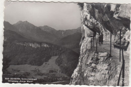 D9123) BAD GOISERN - Salzkammergut - Höhenweg EWIGE WAND - - Bad Goisern