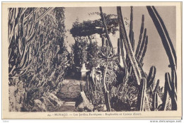 _F448: 24- MONACO- Les Jardins Exotiques - Euphorbia Et Cereus Divers - Giardino Esotico