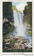 _M869: Haines Falls In The Catskill Mts. N.Y.  Rip Van Winkle Trail - Adirondack