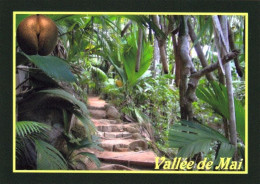 1 AK Seychellen / Praslin Island * Der Nationalpark Vallée De Mai Auf Der Insel Praslin - Seit 1983 UNESCO Weltnaturerbe - Seychelles