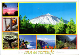 46973 - Spanien - Teneriffa , Tenerife , El Teide , El Drago , El Pris , Masca , Playa De Las Americas - Gelaufen  - Tenerife