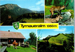 46755 - Steiermark - Fladnitz A. D. Teichalm , Gasthaus Tyrnaueralm , Rote Wand , Steinbock - Gelaufen 1982 - Weiz