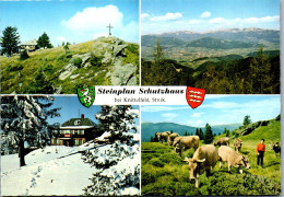 46744 - Steiermark - Knittelfeld , Steinplan Schutzhaus , Mehrbildkarte , Steinplanhütte - Nicht Gelaufen  - Knittelfeld