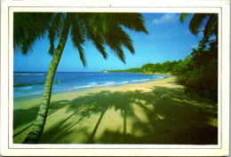 46648 - Dominikanische Republik - Costa Norte , Playas , Strand , Palme - Gelaufen  - República Dominicana