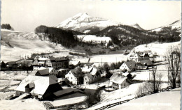 47166 - Niederösterreich - Wienerbruck , Mit Dem Ötscher , Panorama - Gelaufen 1969 - Lilienfeld