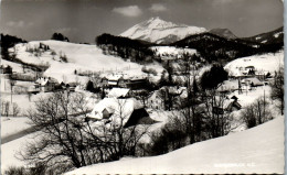 47165 - Niederösterreich - Wienerbruck , Panorama - Gelaufen 1968 - Lilienfeld