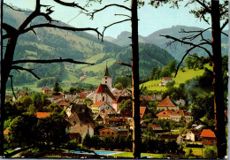 47126 - Niederösterreich - Türnitz , Panorama - Gelaufen 1971 - Lilienfeld