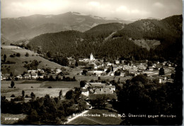 47125 - Niederösterreich - Türnitz , Übersicht Gegen Reisalpe - Gelaufen 1974 - Lilienfeld