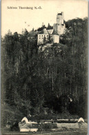 47114 - Niederösterreich - Thernberg , Schloß Thernberg - Gelaufen  - Neunkirchen