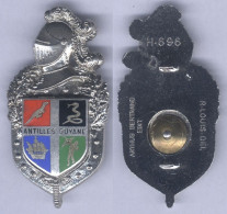 Insigne De La Légion De Gendarmerie Antilles Guyane - Politie En Rijkswacht