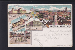 Österreich Litho Wiener Neustadt 1902 Gelaufen - Wiener Neustadt