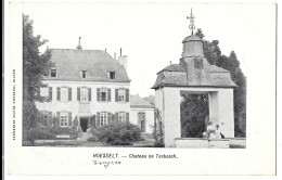 Belgique  -  Hoesselt  -  Chateau  De  Terbosch - Hoeselt - Höselt