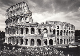 POSTCARD 1452,Italy,Roma - Colosseum