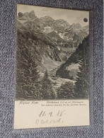 #AK395 - GERMANY - ALLGAUER ALPEN - EINÖDSBACH - 1918 - Arbres