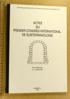 Actes Du Premier Congrès International De Subterranologie, Reves (Hainaut, Belgique), Juillet 1987, SO.BE.R.E.S. SOBERES - Archäologie