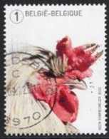 De Kip Van Koen Vanmechelen 2022 - Used Stamps