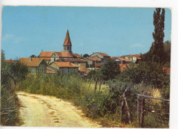 CEYZERIAT L'EGLISE ET SON CLOCHER TYPIQUE 1975 - Non Classificati