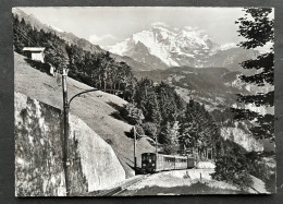 Interlaken/ Schynige Platte Bahn - Wilderswil