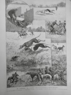 1888 ANIMAUX CHIEN LEVRIER COURSE BOIS BOULOGNE 1 JOURNAL ANCIEN - Documents Historiques