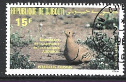 DJIBOUTI. N°597 Oblitéré De 1985. Ganga à Ventre Brun. - Pigeons & Columbiformes