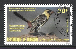 DJIBOUTI. N°598 Oblitéré De 1985. Barbican. - Spechten En Klimvogels