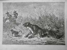 1868 ANIMAUX PANTHERE FEMELLE BEBE ALGERIE 1 JOURNAL ANCIEN - Historische Dokumente