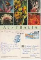 Fauna/Flora From The Australian Bush., With The Sugar Glider Possum, Postcard To Andorra (Europa) - Andere & Zonder Classificatie