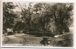 The Lake, Victoria Park, Bath - Bath