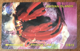CAYMAN ISLANDS CI$ 15 CARIBBEAN CABLE & WIRELESS SCHEDA TELECARTE TELEFONKARTE PHONECARD CALLING CARD - Isole Caiman