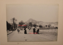 Lot 2 Photo 1890's Hyères Vue Prise De L'Avenue Godillot Ruines Du Château Var (83)  Tirage Print Vintage - Lieux