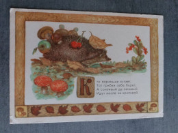 OLD USSR Postcard  - "LITTLE Hedgehog" By Dudnikov-   Champignon  - Amanita - MUSHROOM 1956 Rare! - Pilze