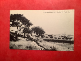 Delcampe - 13/ Martigues Cap Couronne Vallon Du Petit Mas - Martigues