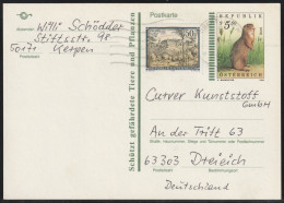 1994 Austria Postally Travelled 5.50s Squirrel Postal Stationery Card - Rongeurs