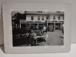 Canada Quebec Montmorency Falls. Kent House 1949. Dog Carriage. Calèche Tirée Par Un Chien. - Amerika