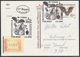 2000 Austria Postally Travelled 6.50s Little Horseshoe Bat Postal Stationery Card With First Day Of Issue Cancellation - Pipistrelli