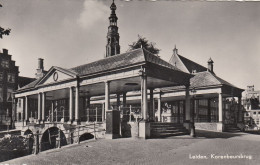 POSTCARD 1463,Netherlands,Leiden - Leiden