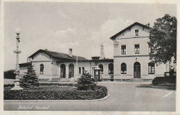 AK Naunhof - Bahnhof - Ca. 1920 (66225) - Naunhof