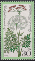 1977 Deutschland > BRD, ** Mi:DE 949, Sn:DE B542, Yt:DE 796, Kümmel, Heilpflanze, Wiesenblumen, Für Die Wohlfahrt - Plantas Medicinales