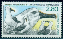 1990 Animals Of Antarctica,Yellow-nosed Albatross,TAAF,M.262,MNH - Seagulls